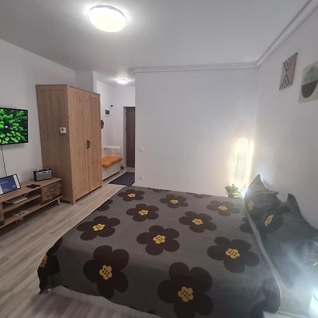 Siriului Studio Букурещ Екстериор снимка